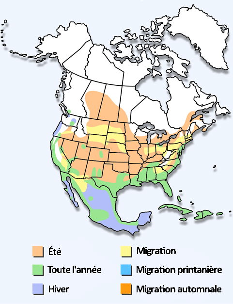 Carte illustrant la répartition de l’espèce ou les routes migratoires