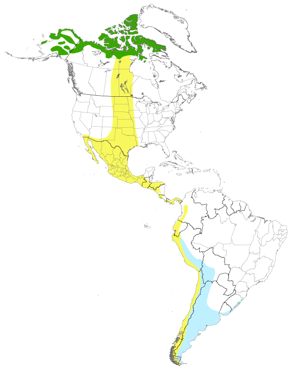 Carte illustrant la répartition de l’espèce ou les routes migratoires