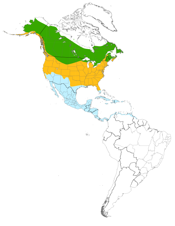 Carte illustrant la répartition de l’espèce ou les routes migratoires