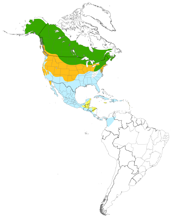 Carte illustrant la répartition de l’espèce ou les routes migratoires